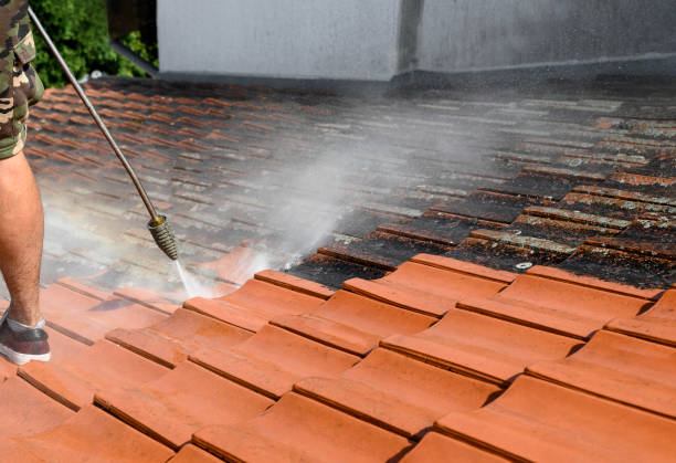 Best Roof Pressure Washing  in Junction, TX