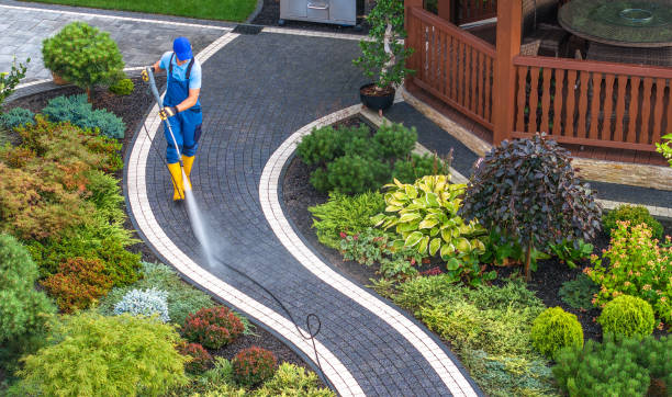 Best Roof Power Washing Services  in Junction, TX